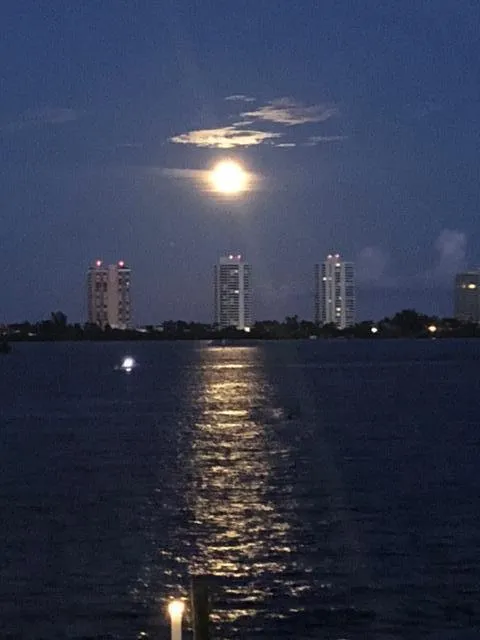 seawinds by moonlight