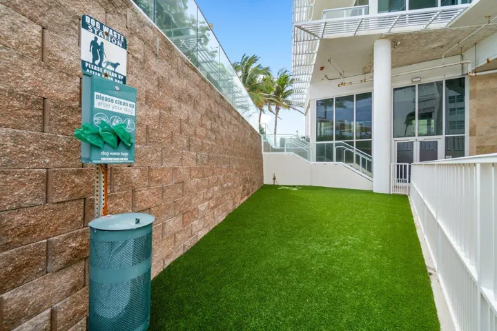 Dog Walk Area