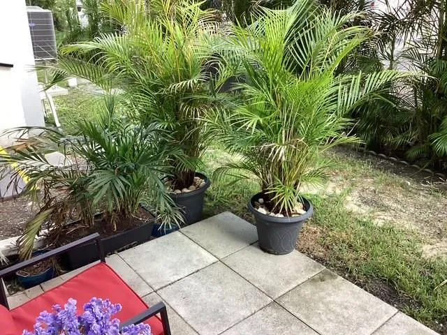 Photo 24