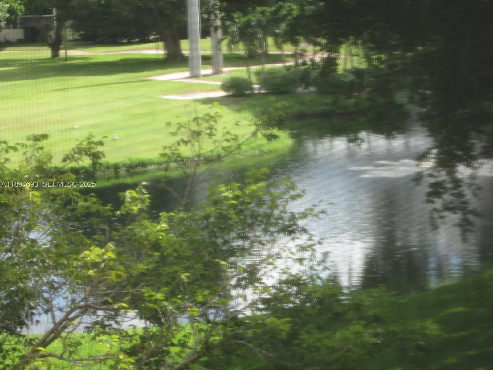 Zoom Water View