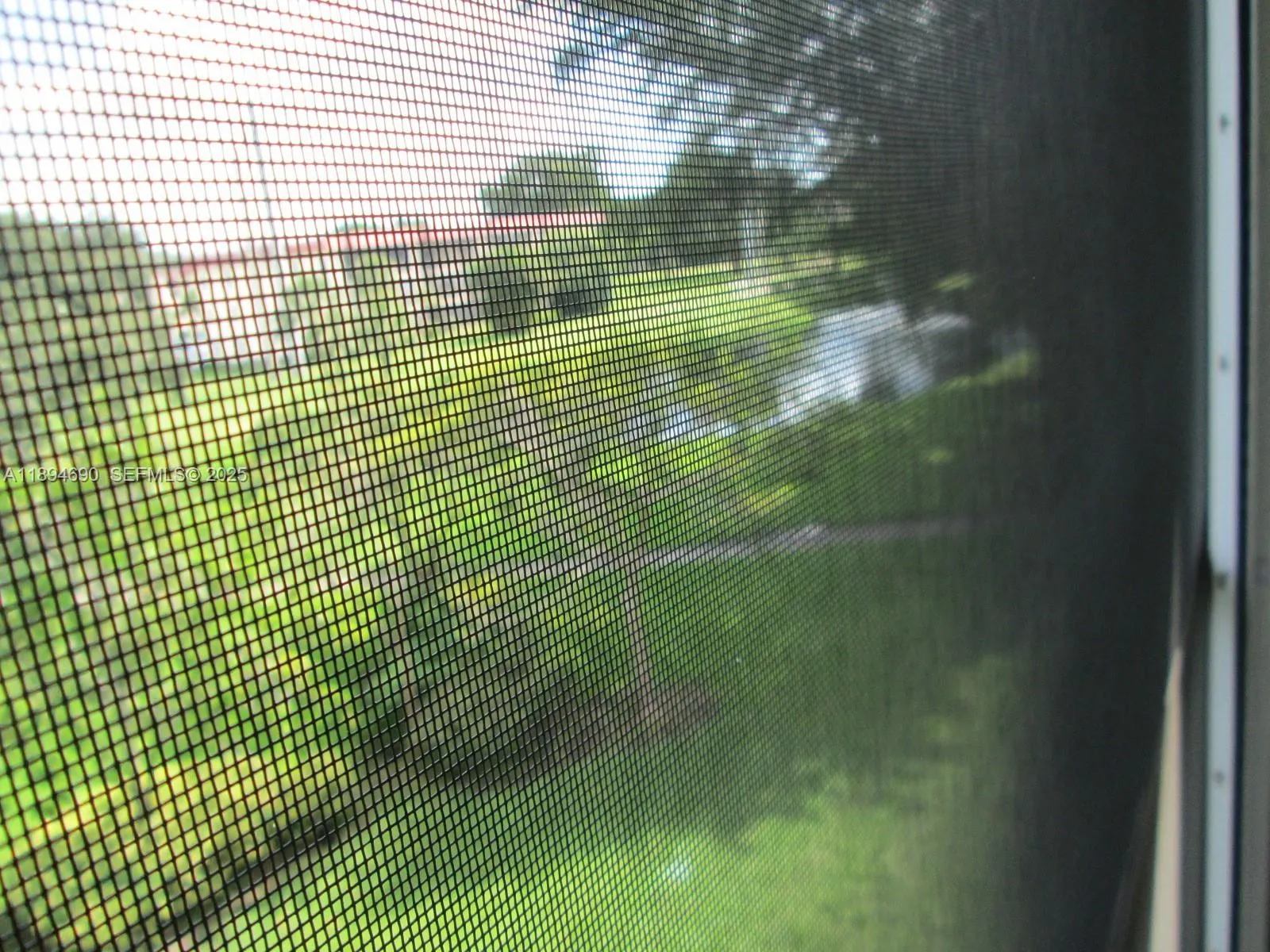 Water View