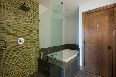 Master Bath shower stall, and jacuzzi tib