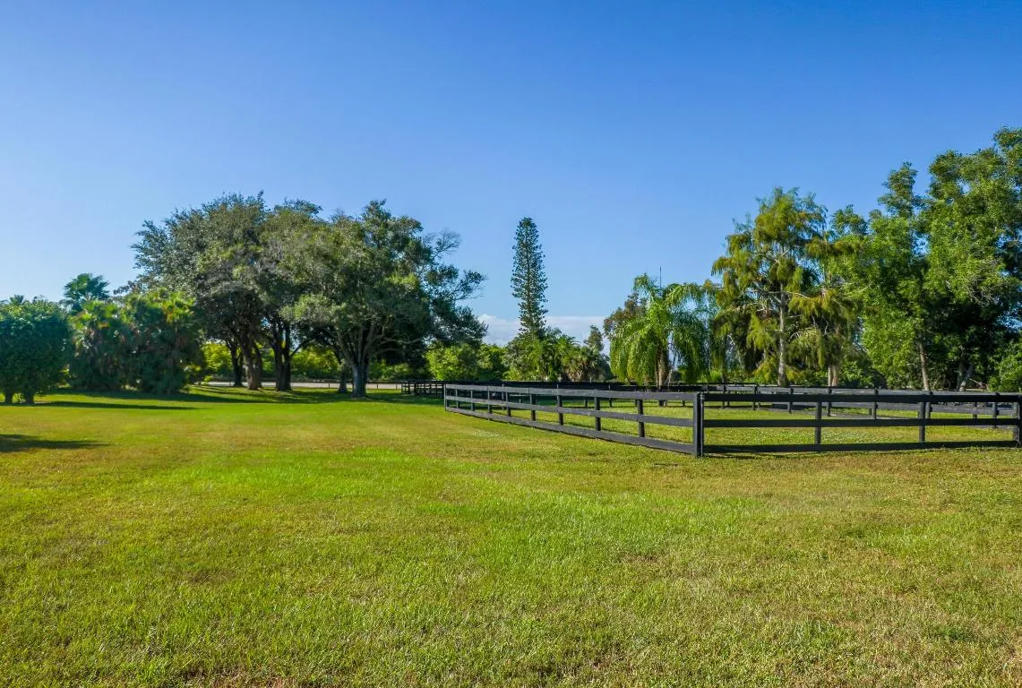Field & Paddock