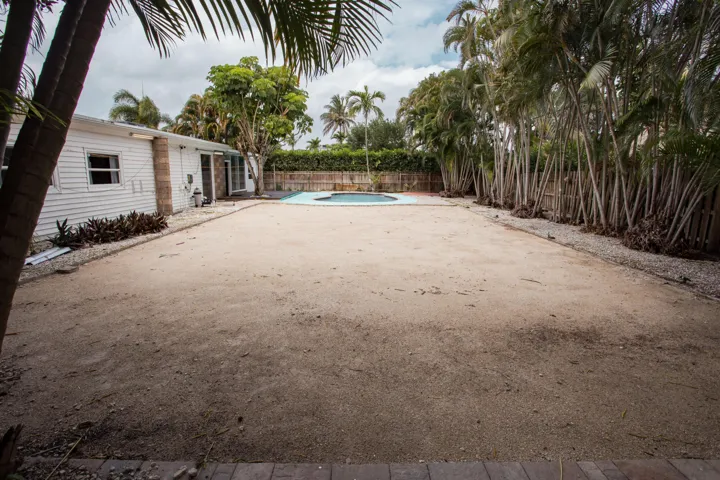 Back Yard 5