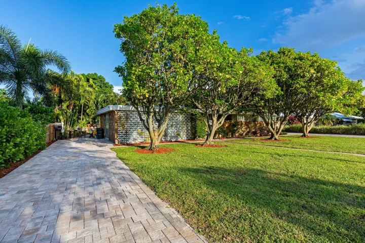 Drive Way Rear 2