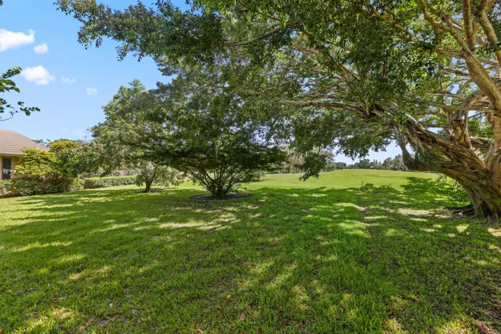 Side Yard