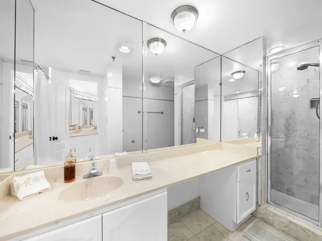 Primary bath/ shower