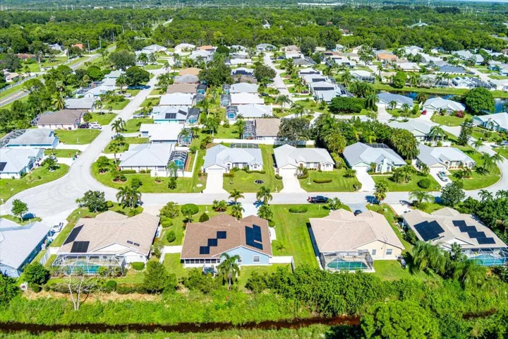 Oleander Pines