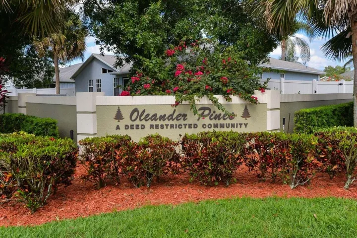 Oleander Pines