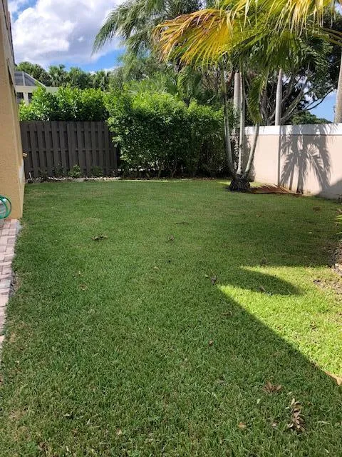 Fenced Yard