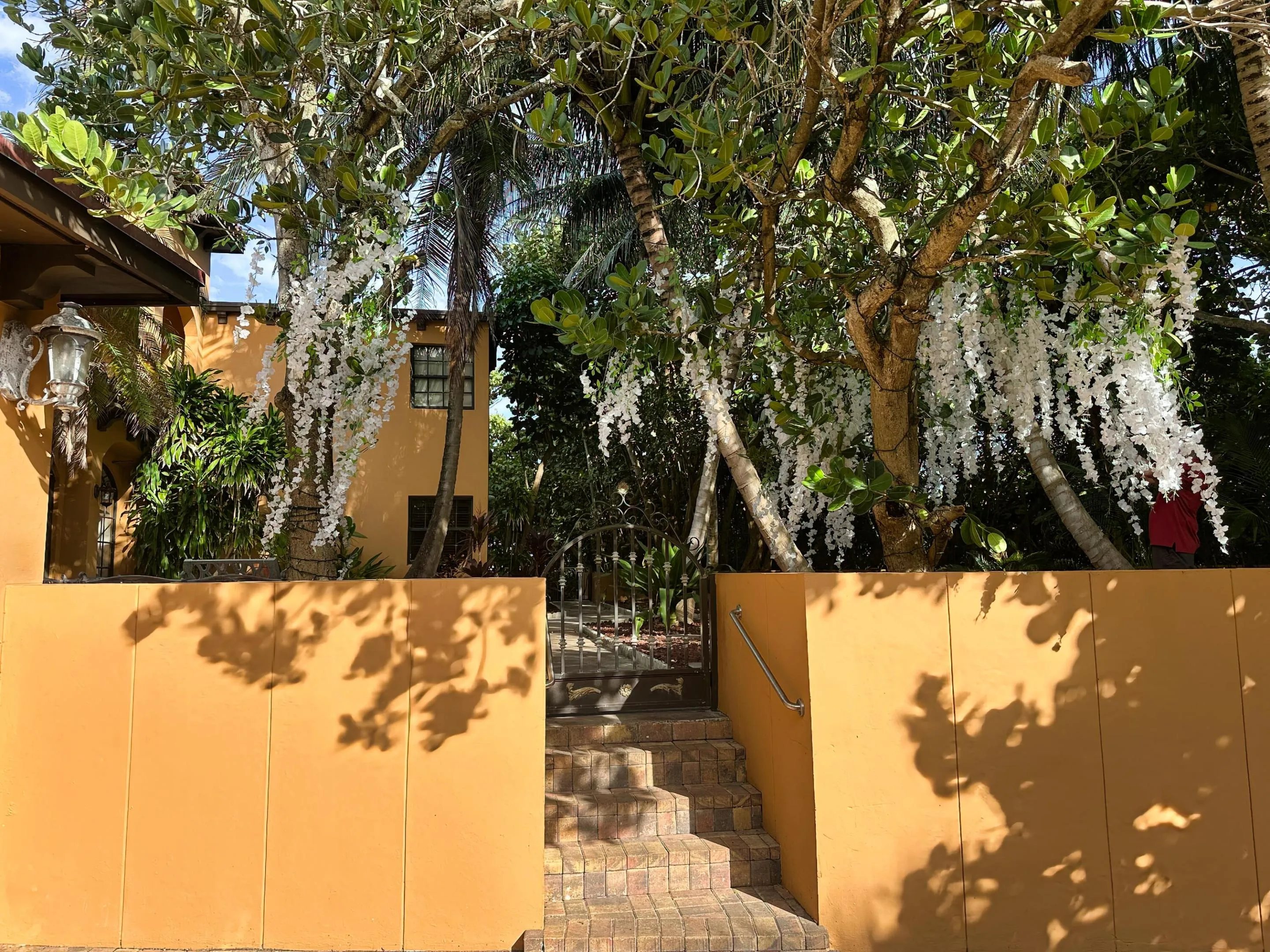 DRIVEWAY ENTRY