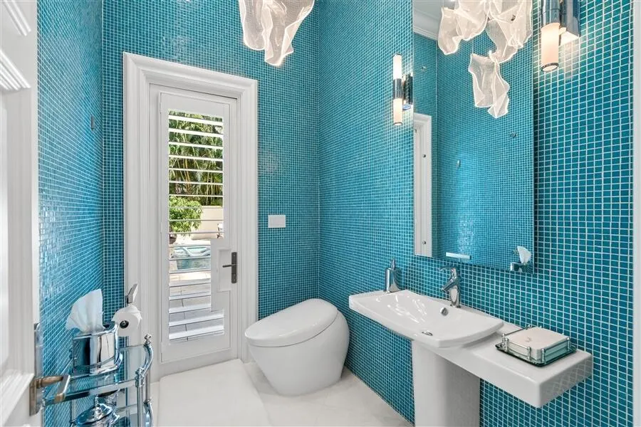 dash_BATHROOM_2_LOOKING_OUT_DT