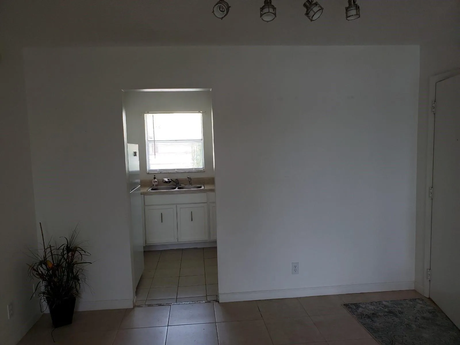 235 Lake Dora Drive-12