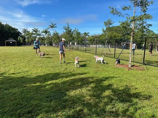 Jaycee Park Dog park- small & large dogs