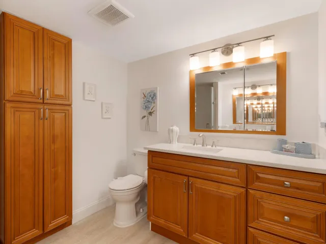 Primary Bathroom 2