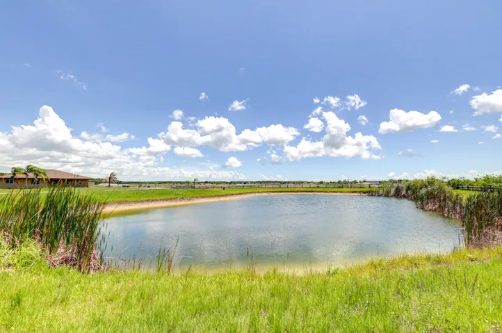 POND