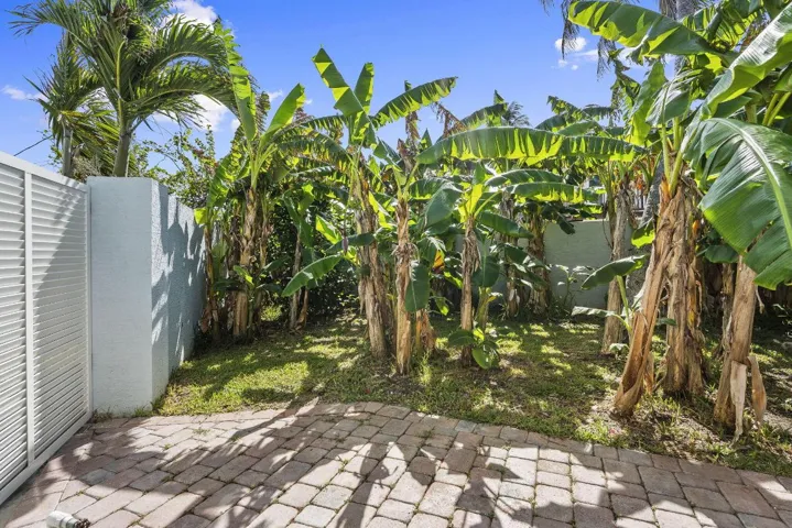 28-web-or-mls-DSC04011