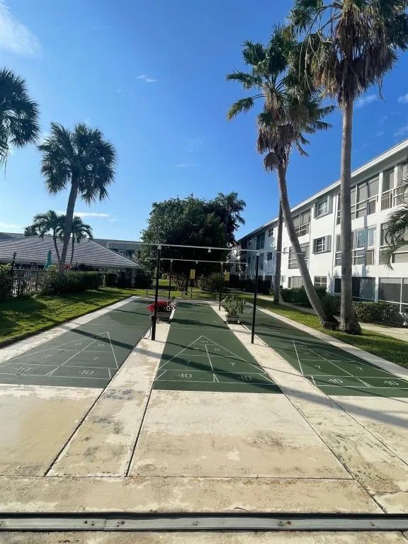 Shuffleboard