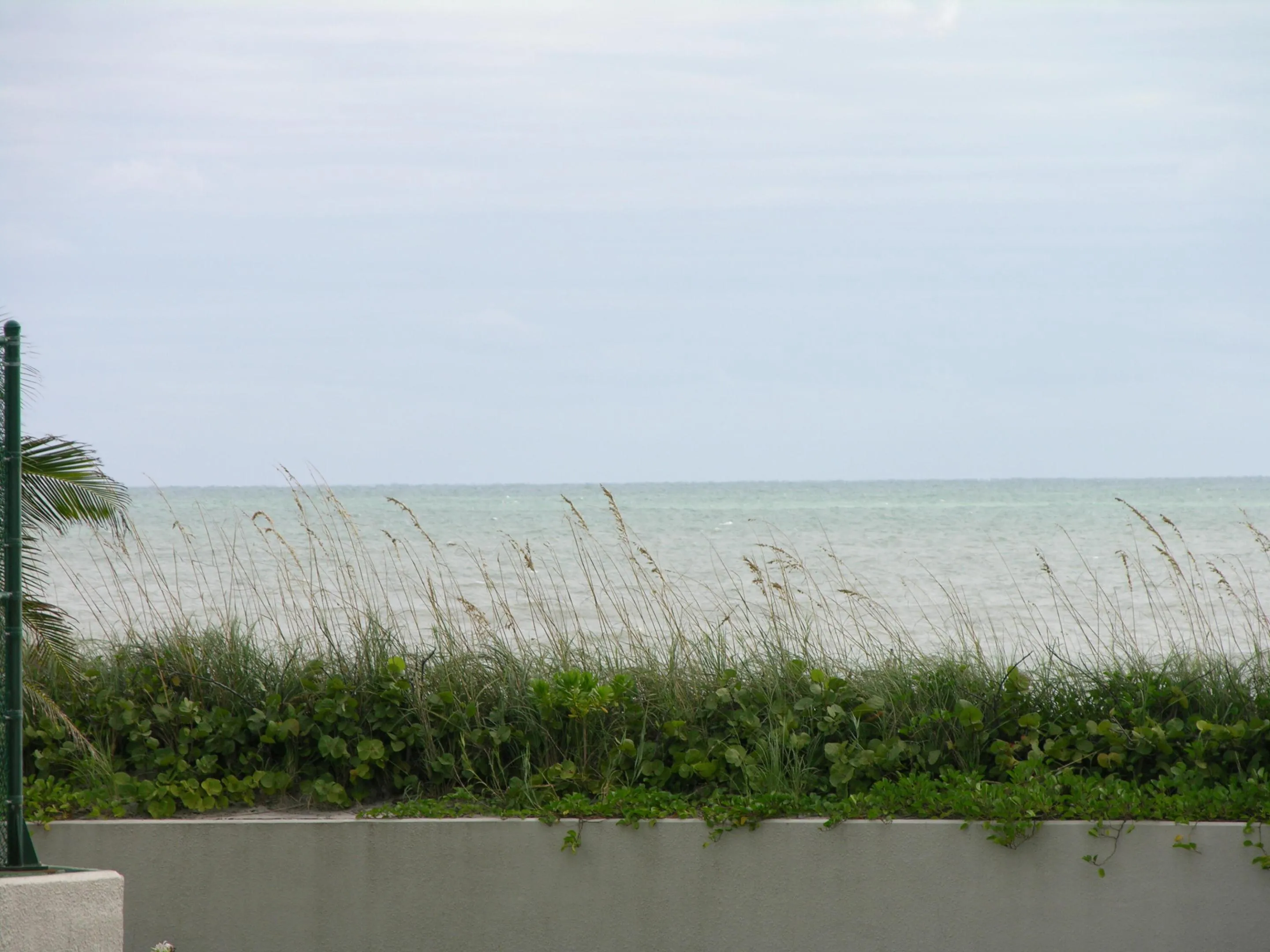 Ocean Views
