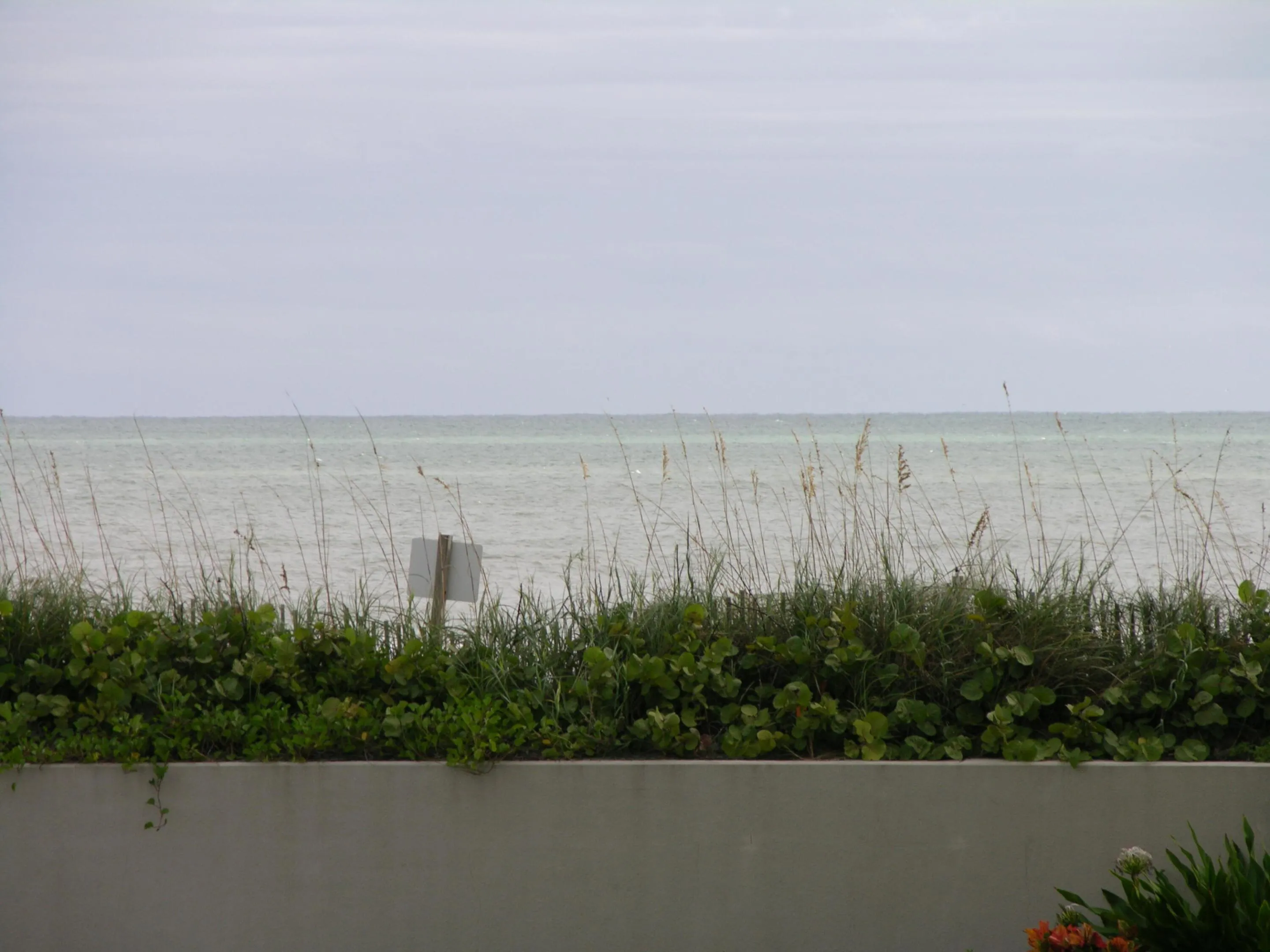 Ocean Views