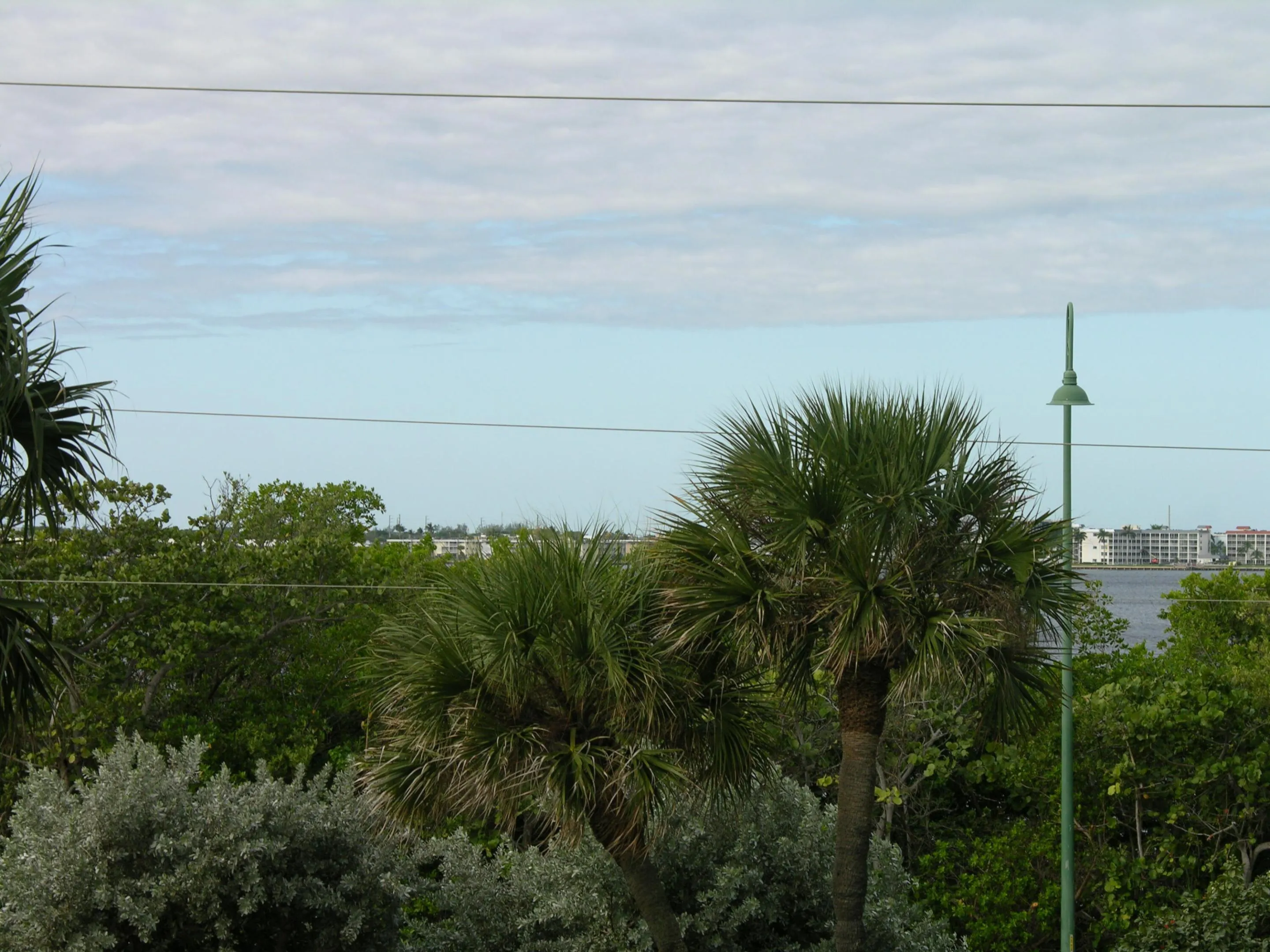 Intracoastal view S to N