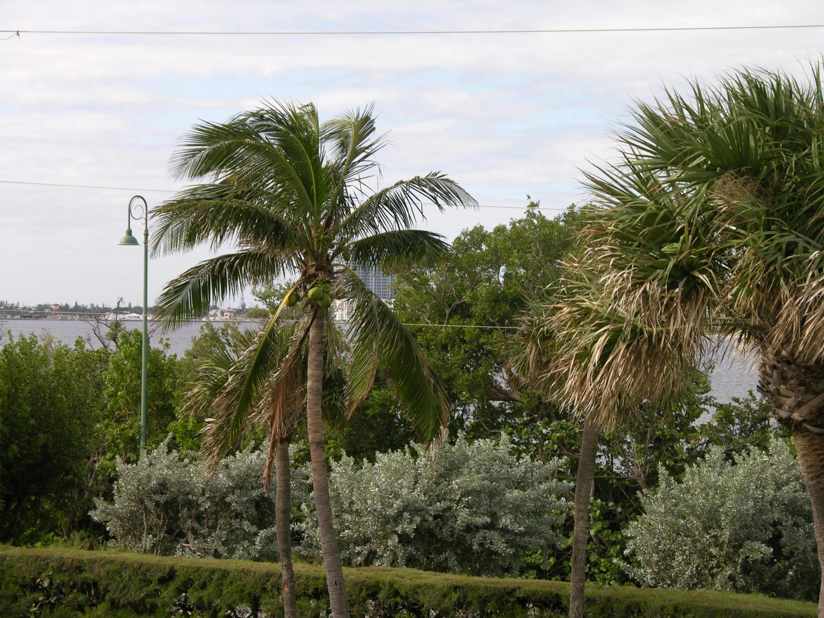Intracoastal View South to North