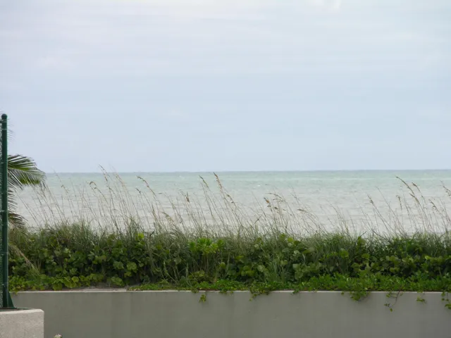 Ocean Views