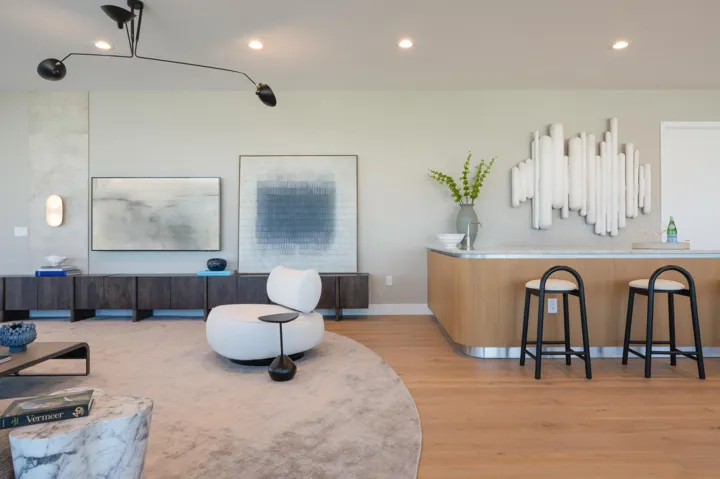 Living/Bar Area