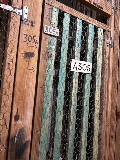 STORAGE