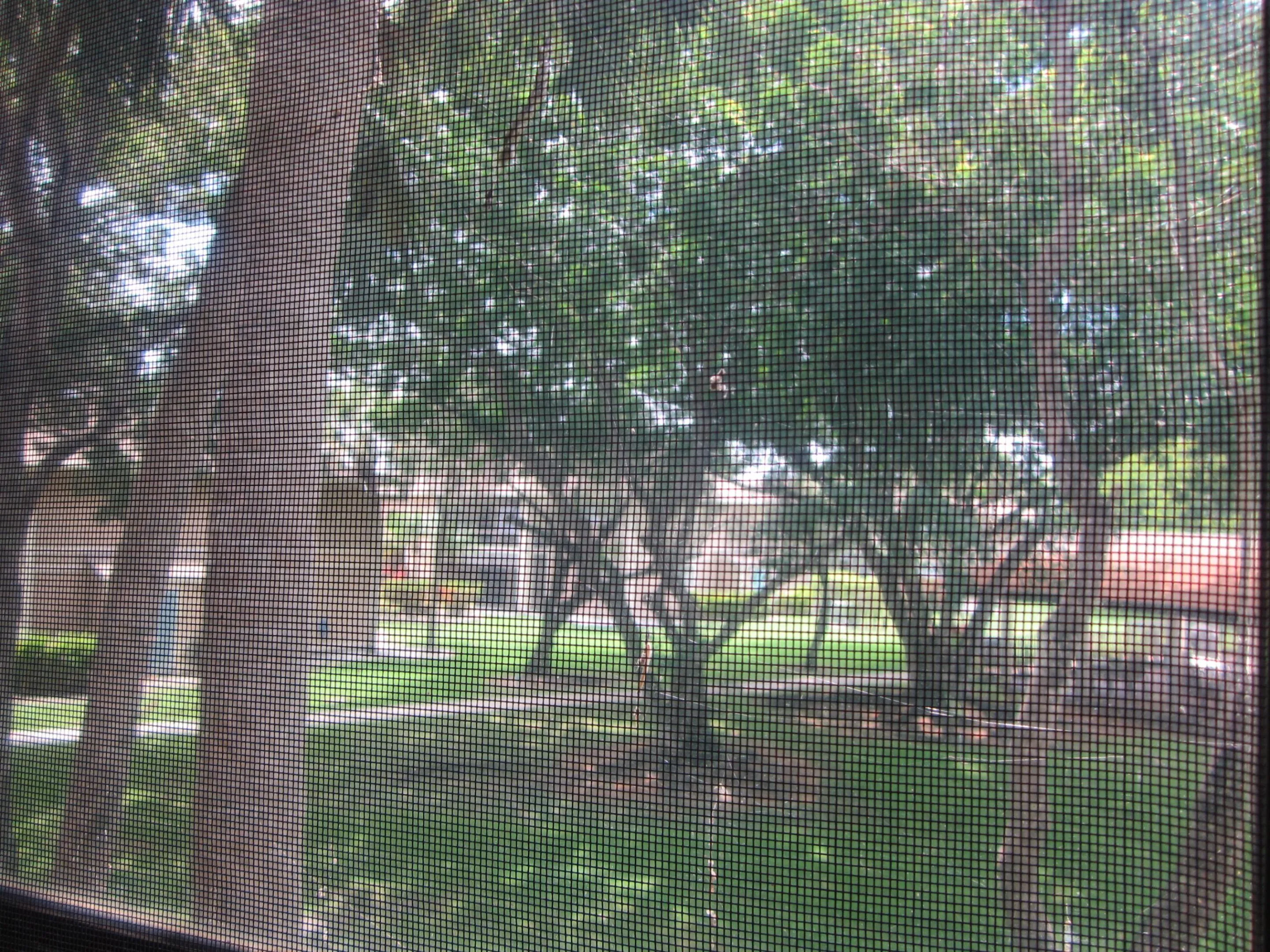 VIEW FROM PATIO