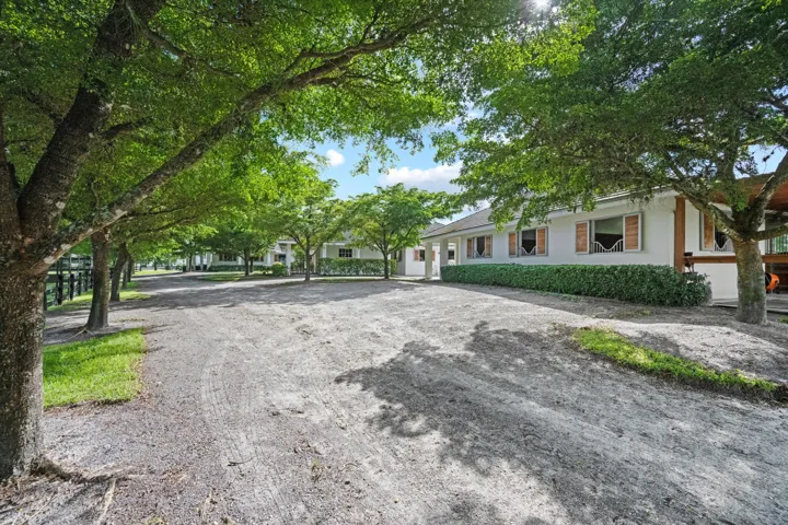 SHADY WIDE ROADS
