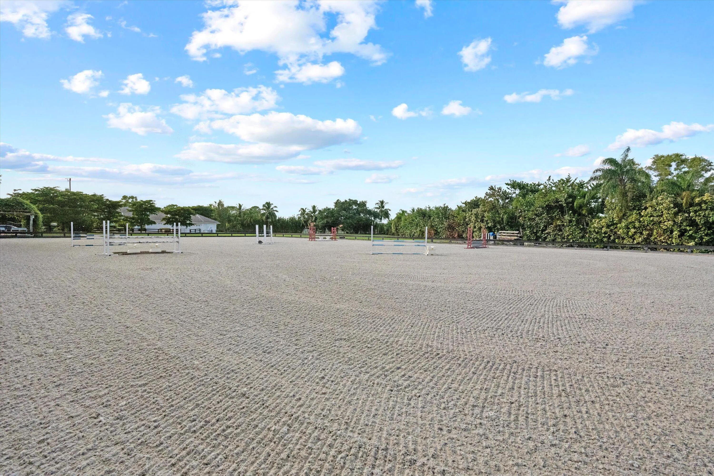 71-DSC_2390