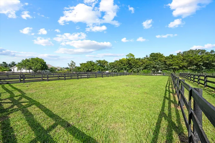 55-DSC_2203-Edit