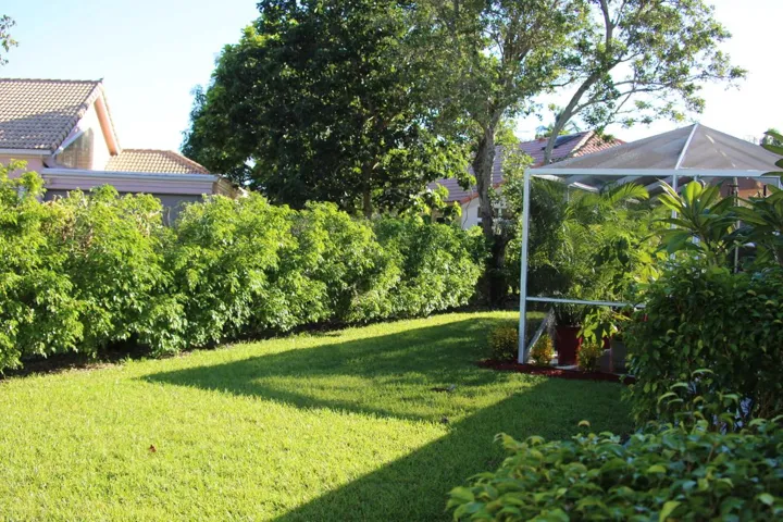 Back Garden