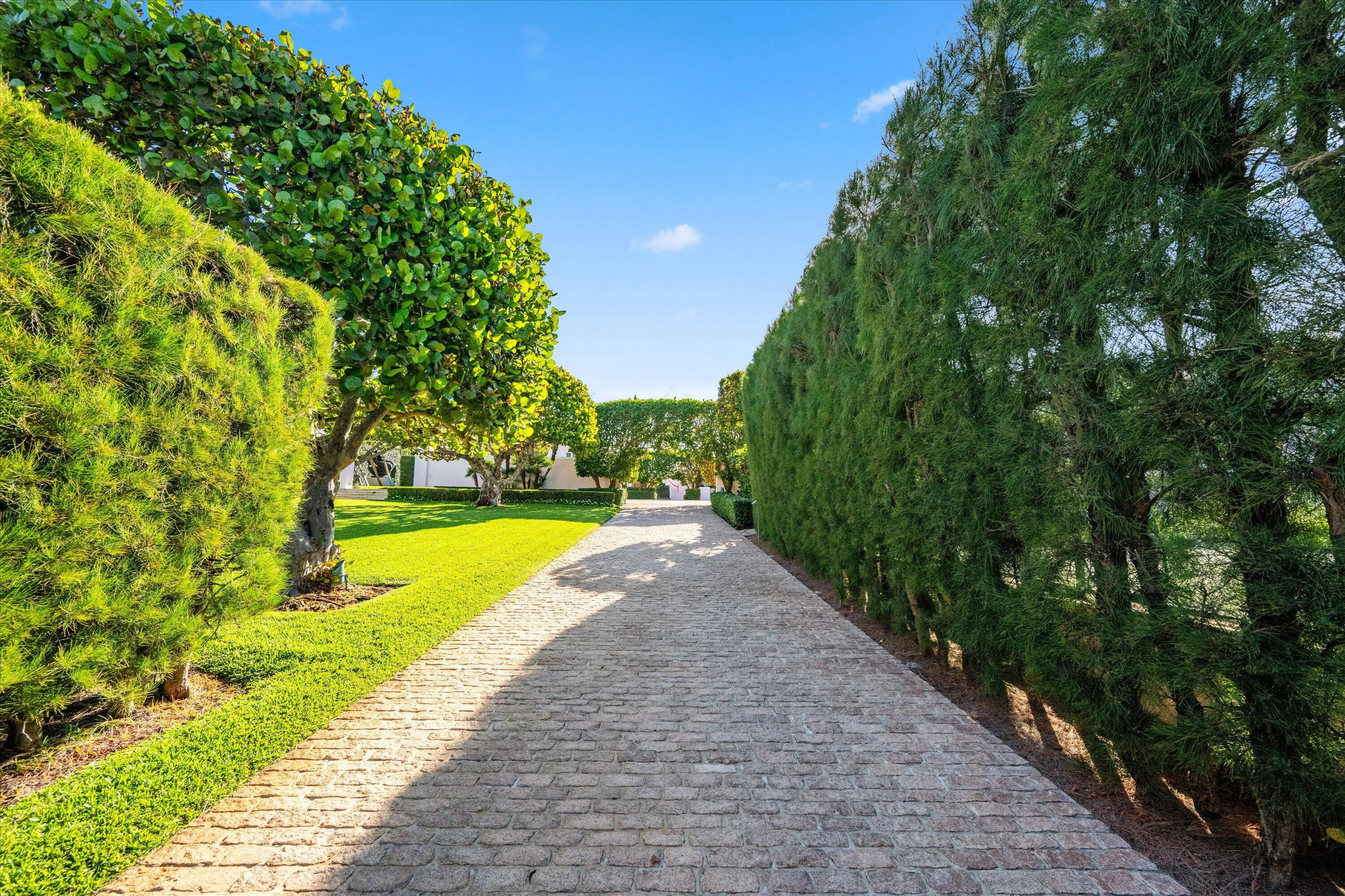 Driveway