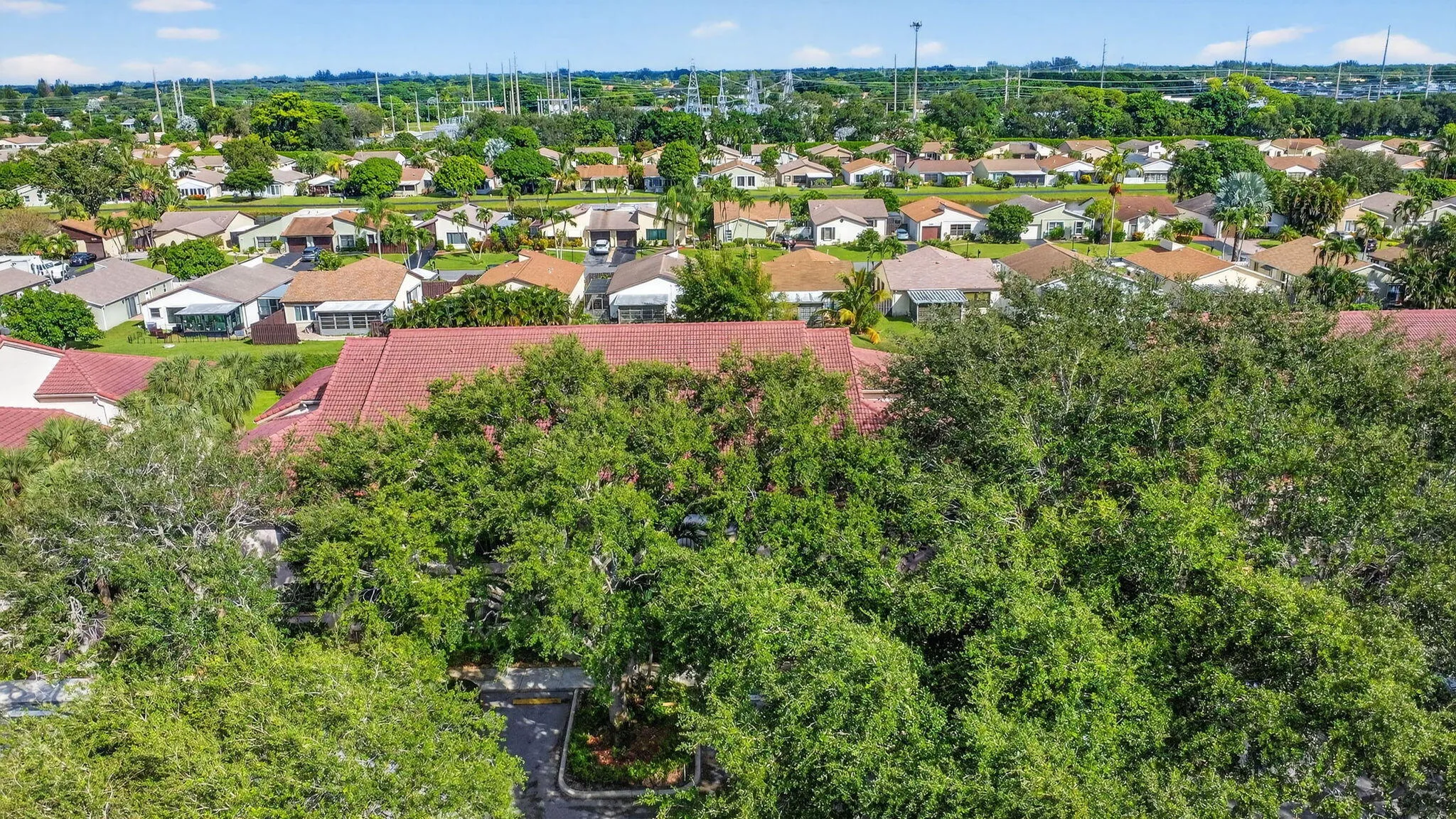 40-web-or-mls-DJI_0432