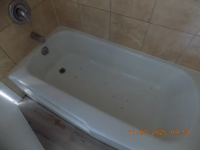 DSCN9673