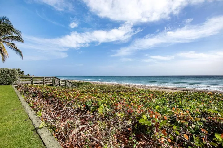 Ocean from Yard