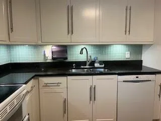 Kitchen Sink