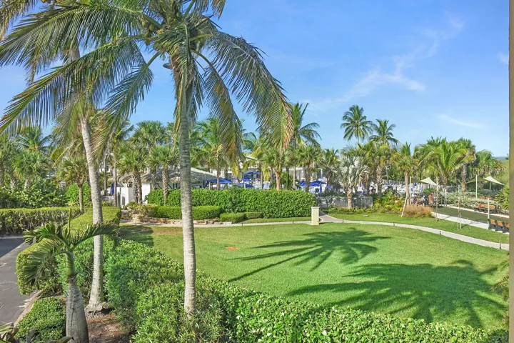 48-web-or-mls-500_6700