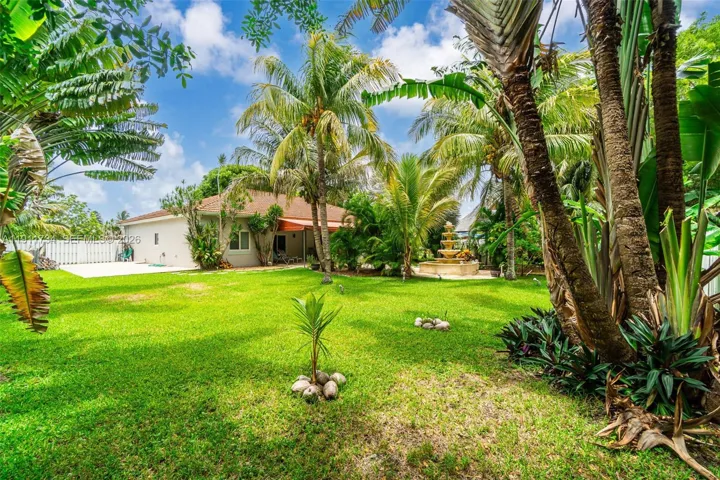 Yard View 1