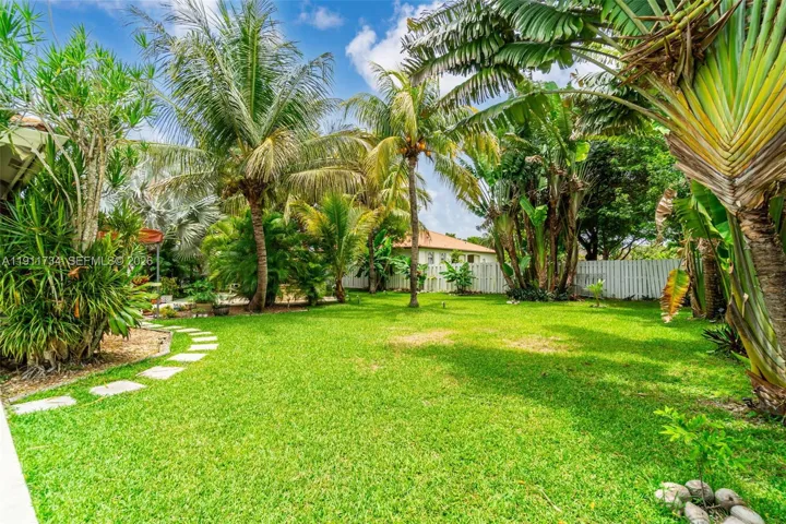 Yard View 5