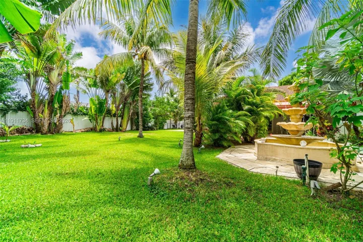 Yard View 2