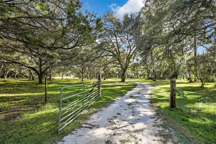 Property is located down this long entryway lined with trees