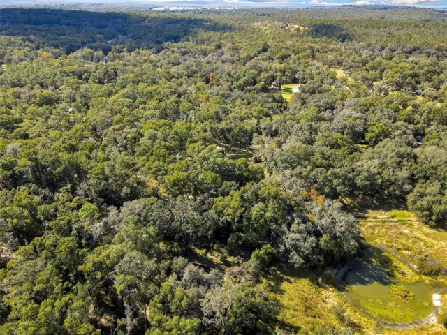 Ride your horse right to Withlacoochee Horse Trails