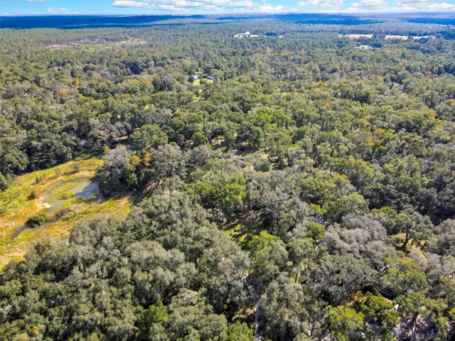 Ride your horse right to Withlacoochee Horse Trails