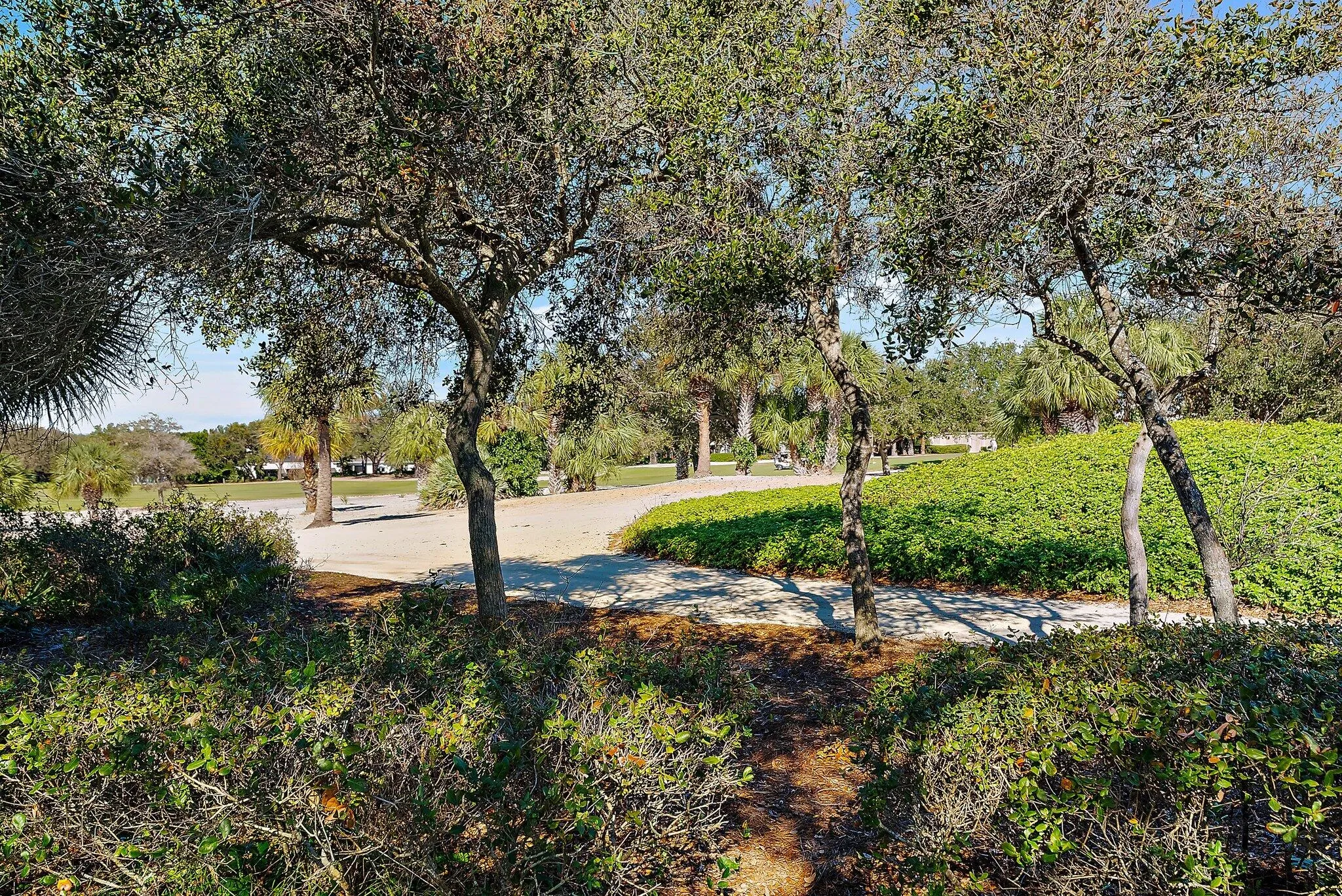 Property photo 41