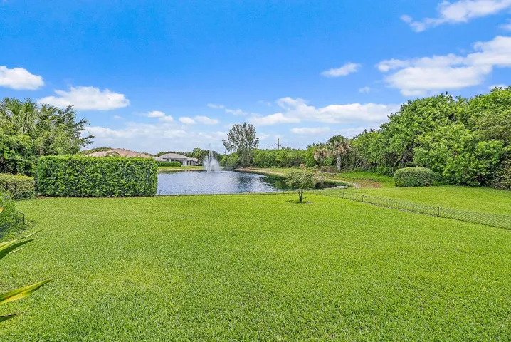 Pond View
