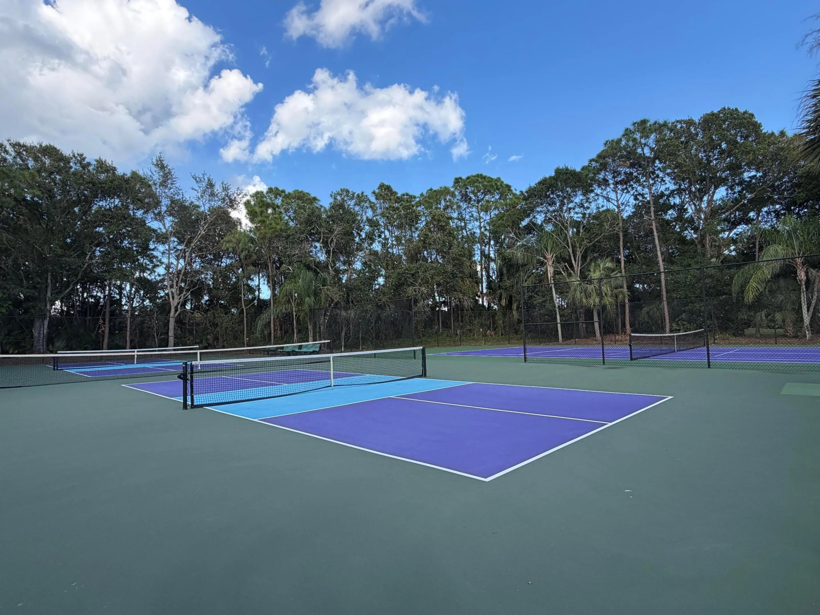 Pickleball Court