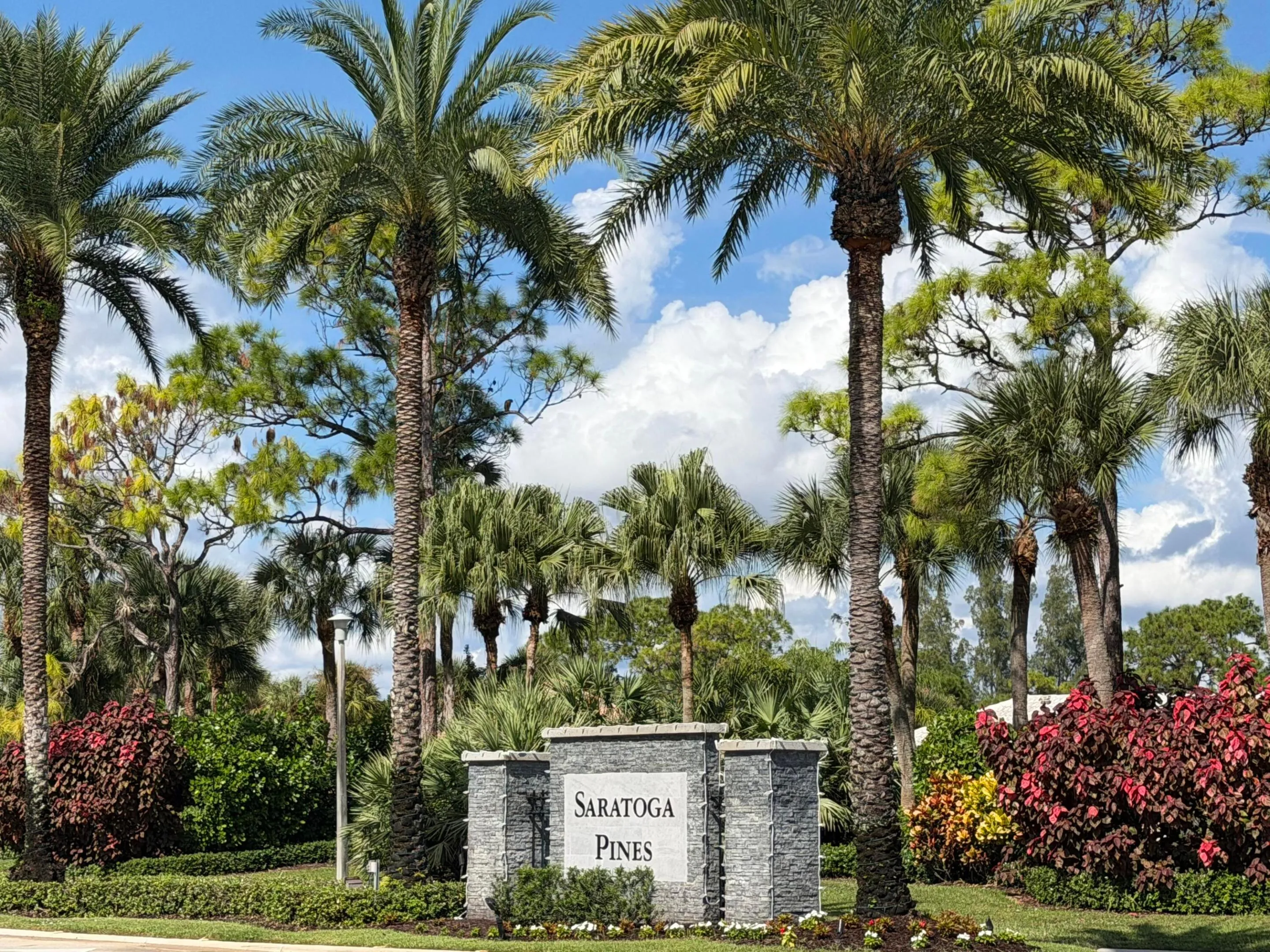 Saratoga Pines